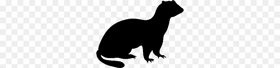 Ferret Product Comparison, Silhouette, Animal, Mammal Free Transparent Png
