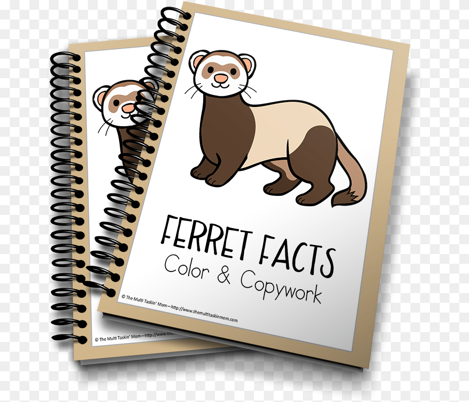 Ferrets Color And Copywork 3d Life Cycle Of Butterfly, Animal, Bear, Mammal, Wildlife Png