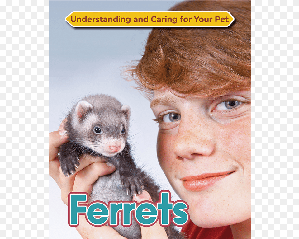 Ferrets Ferrets By Anne Mcbride Hardback, Adult, Person, Woman, Female Free Png