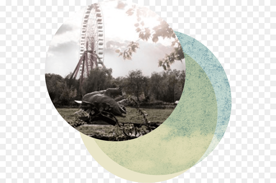 Ferris Wheel, Amusement Park, Ferris Wheel, Fun Png Image