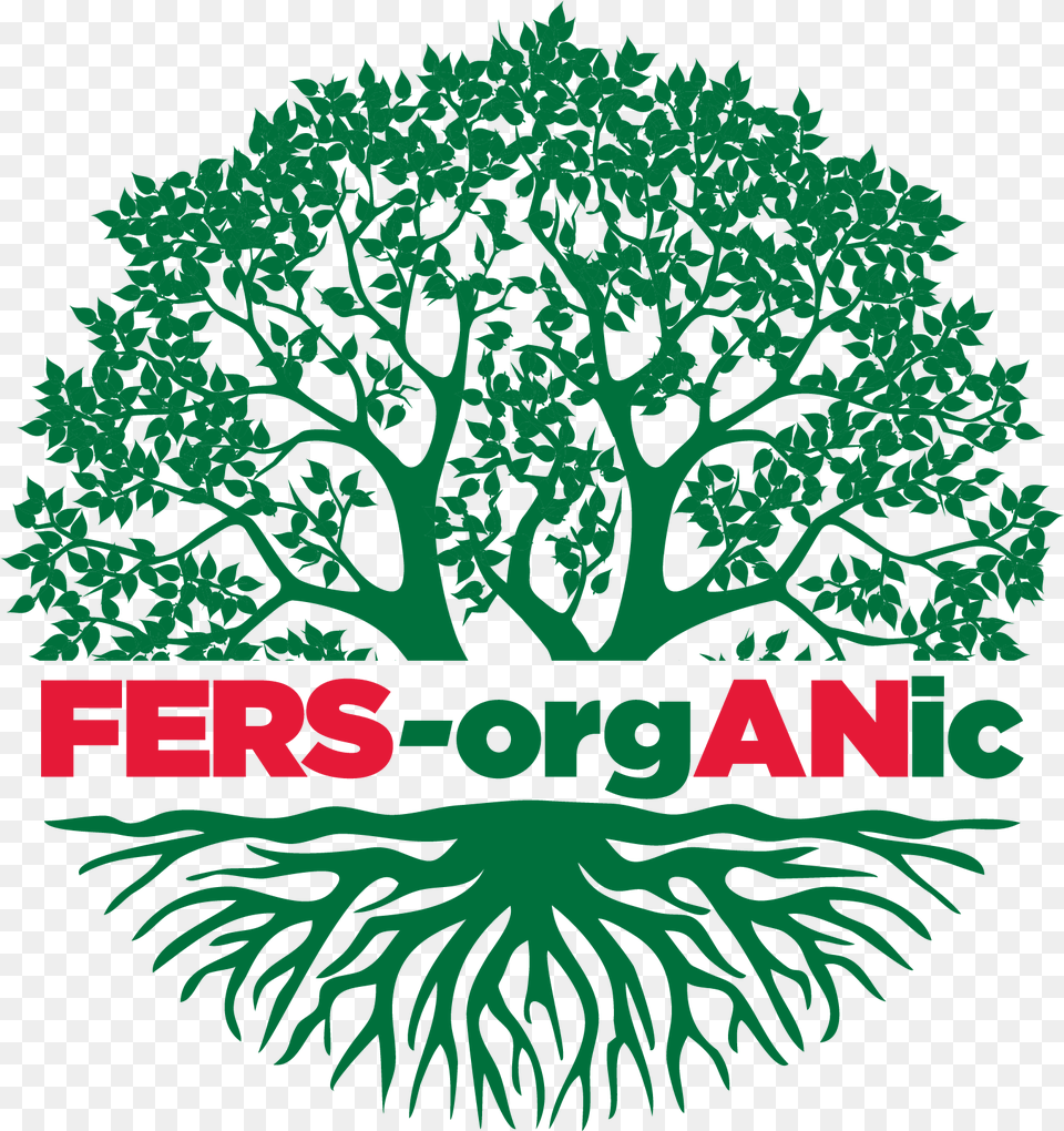 Fers Organic U2013 Newport Fersan Jamaica Limited Tree, Vegetation, Sycamore, Plant, Oak Png Image