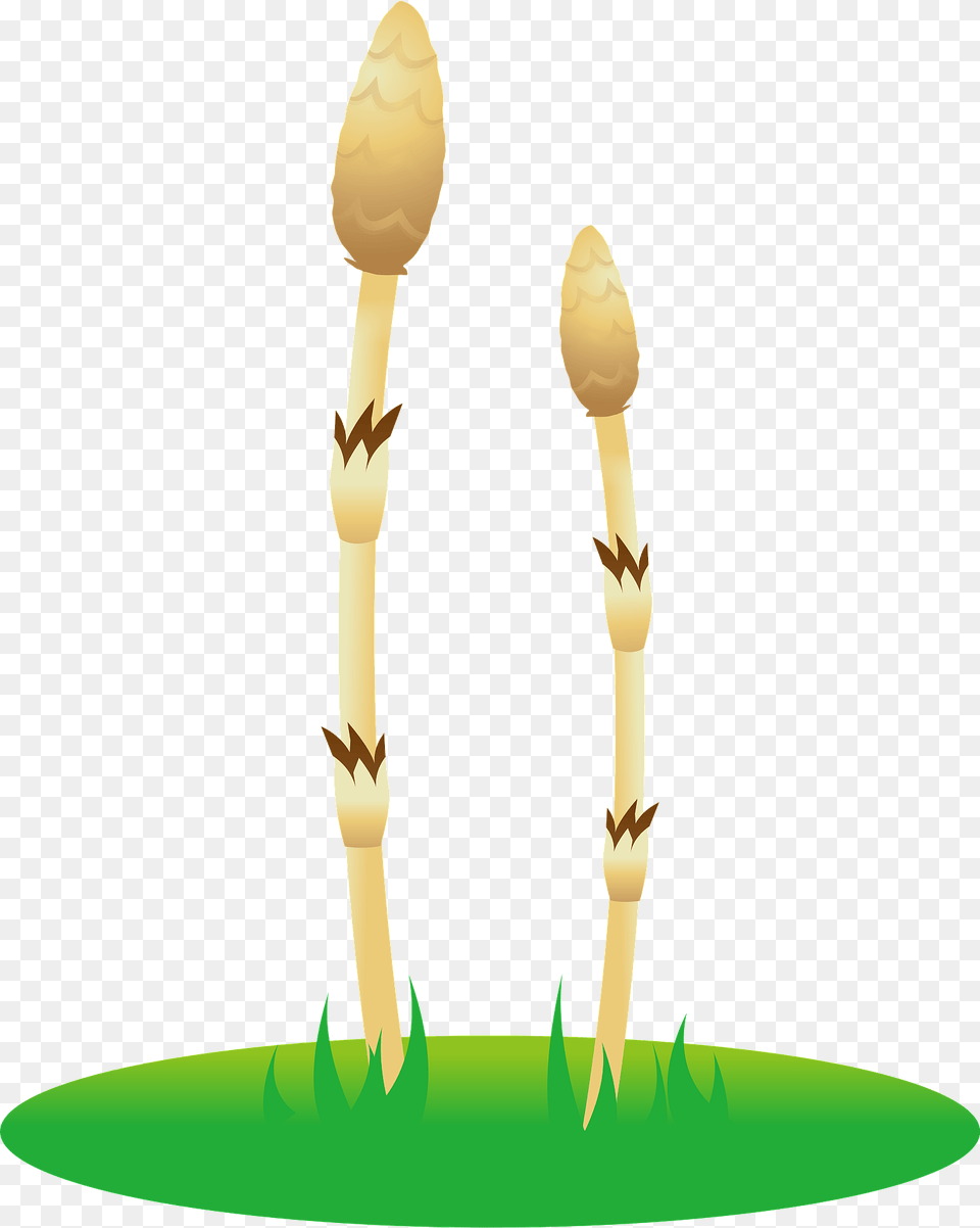 Fertile Shoots Clipart Png Image