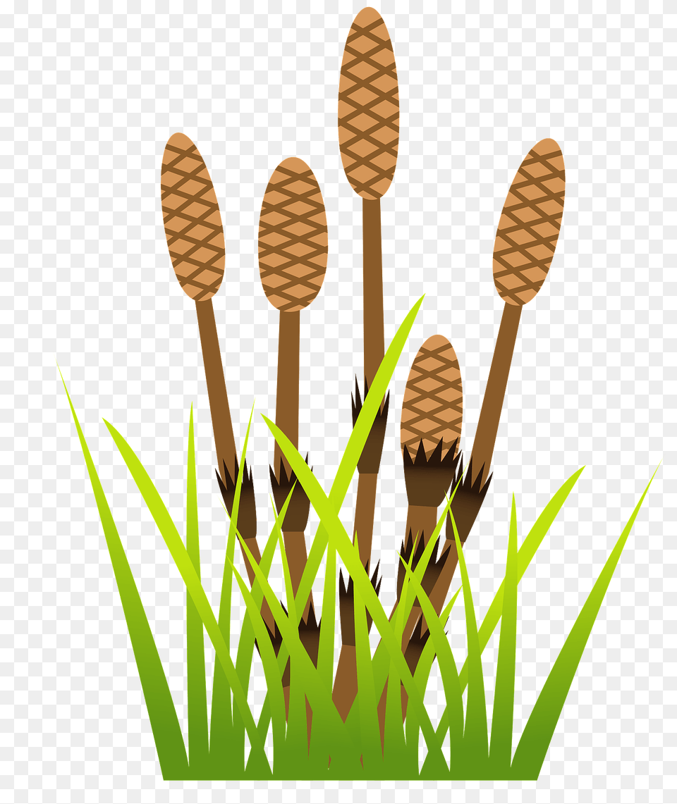 Fertile Shoots Clipart, Grass, Plant, Vegetation, Tree Free Png Download