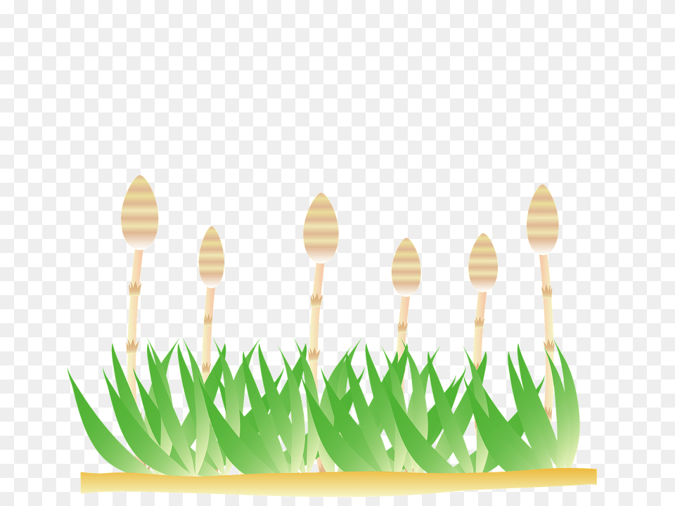 Fertile Shoots Clipart, Cutlery, Spoon, Weapon Free Png Download