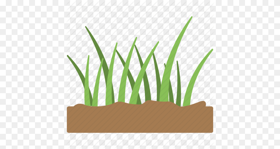 Fertile Soil Grass Grass Icon Green Grass Soil Icon, Jar, Plant, Planter, Potted Plant Free Png Download