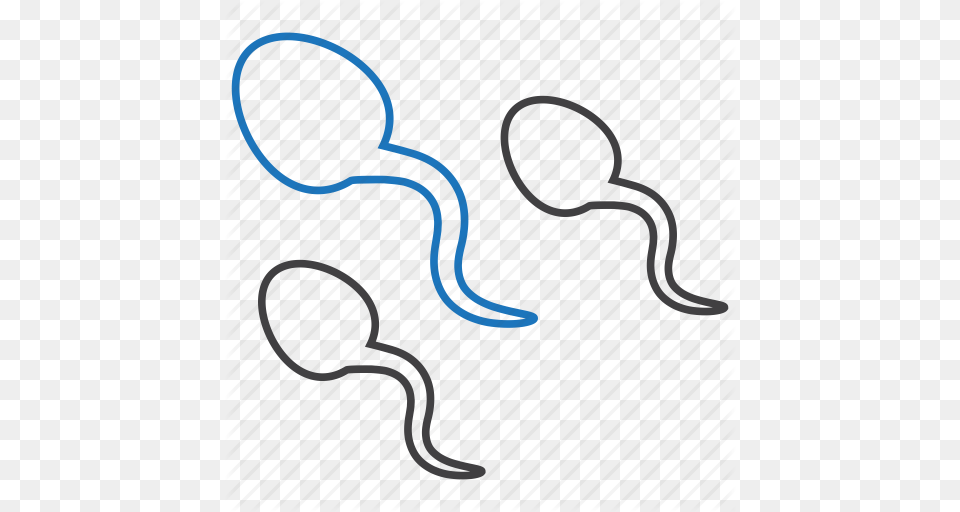 Fertilization Reproduction Semen Sperm Sperms Icon Png Image