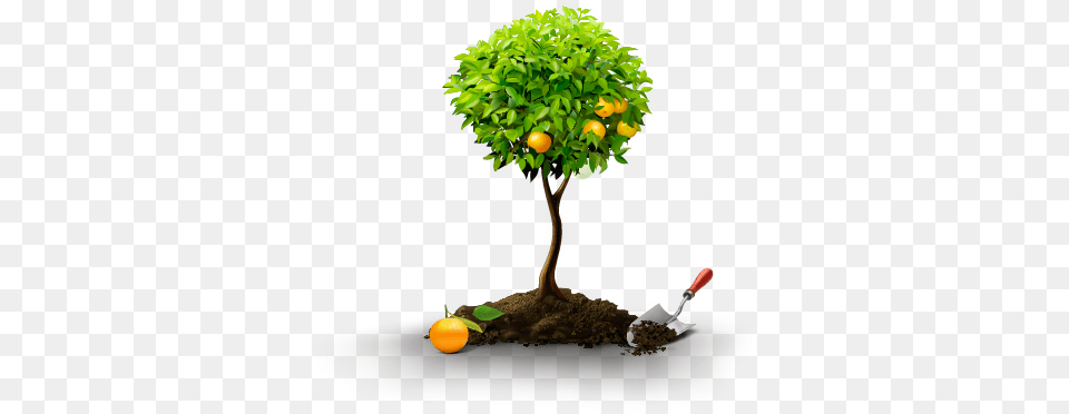 Fertilizer Anand Oil Fertilizer, Plant, Potted Plant, Tree, Food Free Png Download