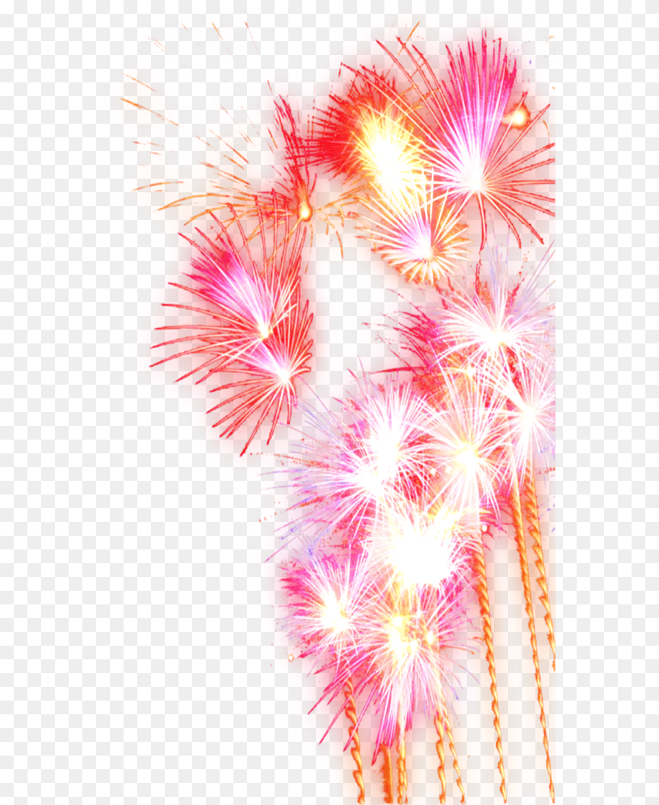 Festival Fireworks Pyrotechnics Transparent Image, Light, Flare, Plant Free Png