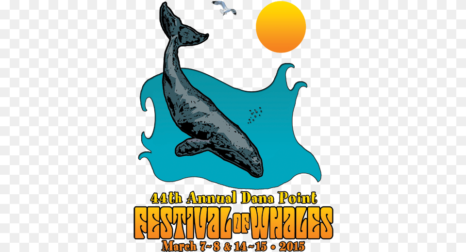Festival Of Whales Logo Festival Of The Whales, Animal, Sea Life, Advertisement, Dolphin Png