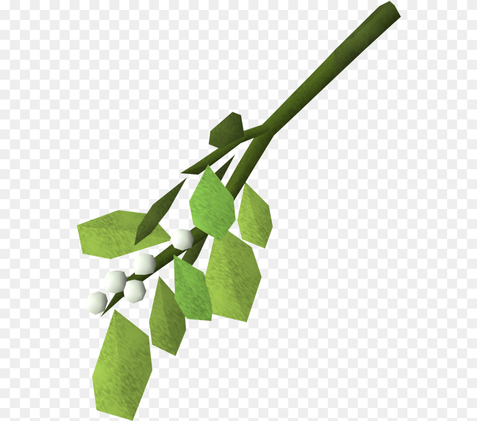 Festive Mistletoe Mistletoe, Green, Leaf, Plant Free Png Download