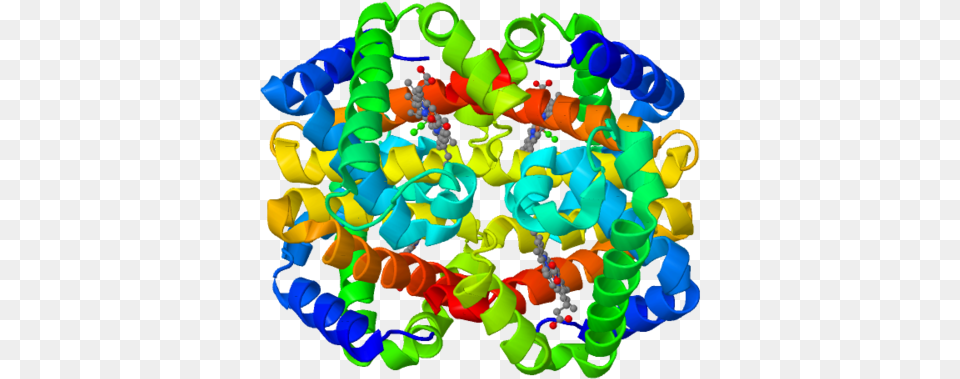 Fetal Hemoglobin Protein Structure Formed By 2 Alpha Hemoglobin Structure, Birthday Cake, Cake, Cream, Dessert Free Png
