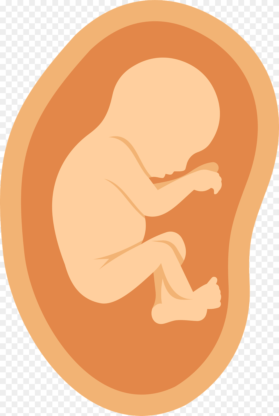 Fetus Clipart, Body Part, Ear, Person Free Png Download