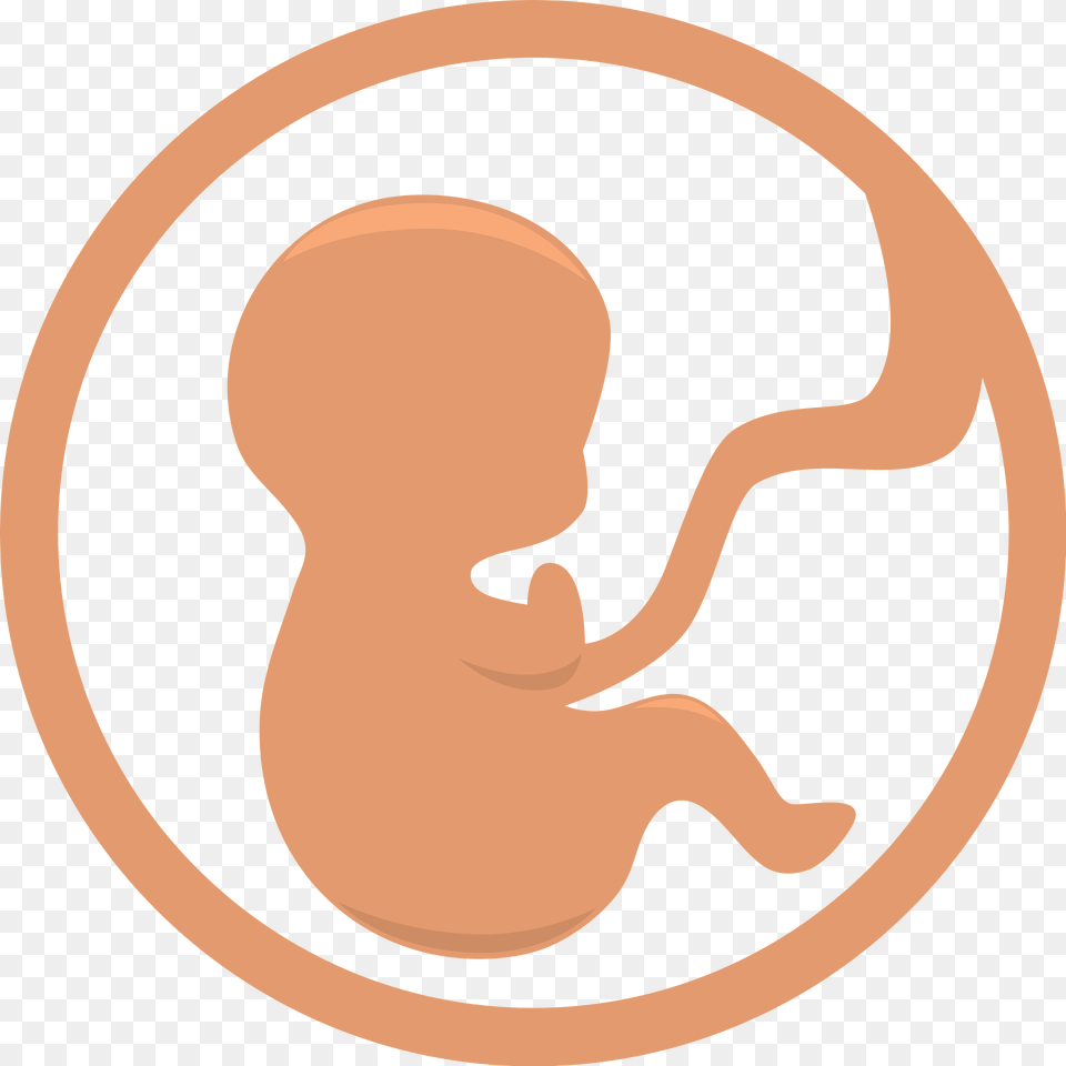 Fetus Clipart Png Image