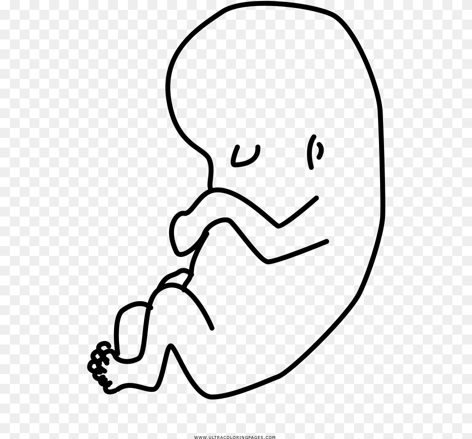 Fetus Coloring, Gray Png Image
