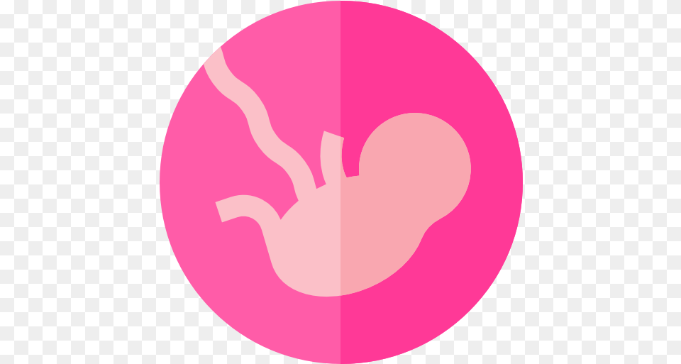 Fetus Free People Icons Madre Y Feto Icono, Disk Png Image