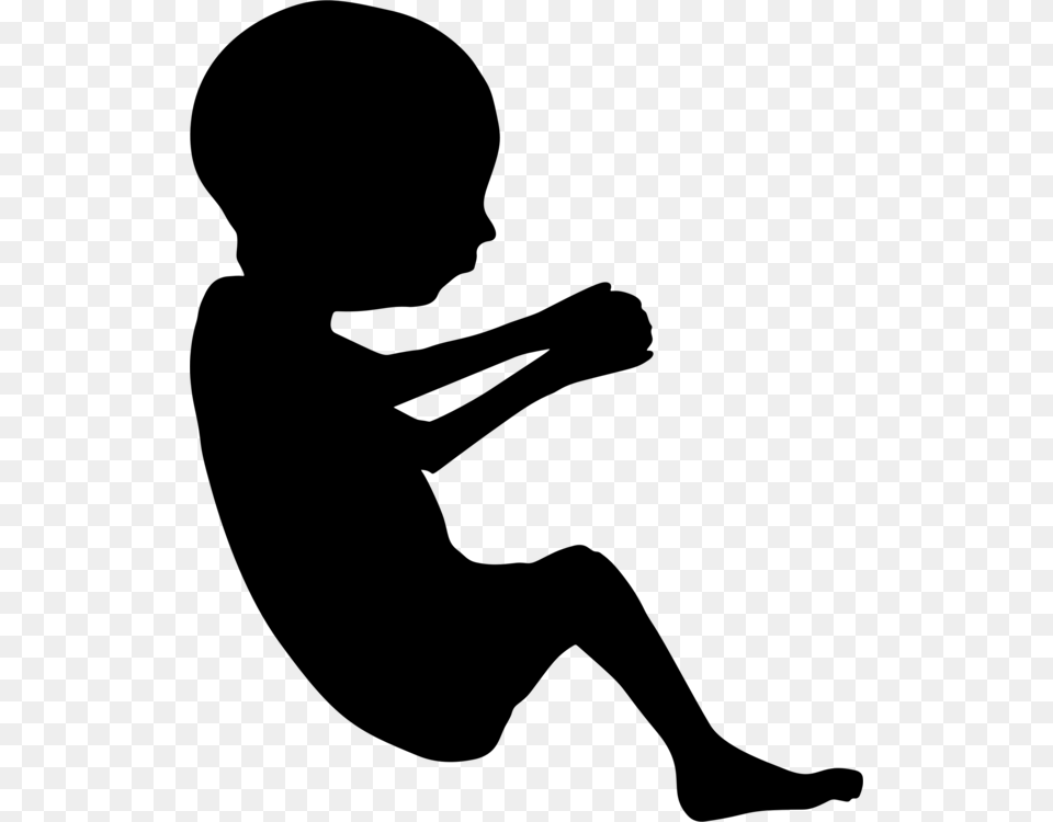 Fetus Infant Pregnancy Silhouette Uterus, Gray Free Png