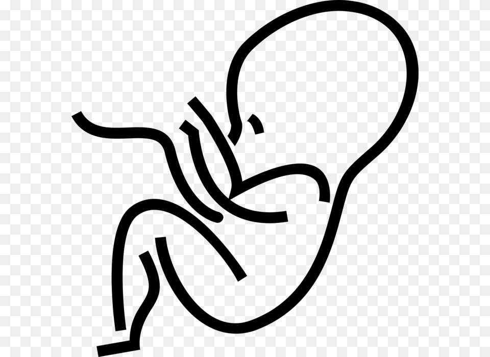 Fetus Prenatal Embryonic State, Gray Png