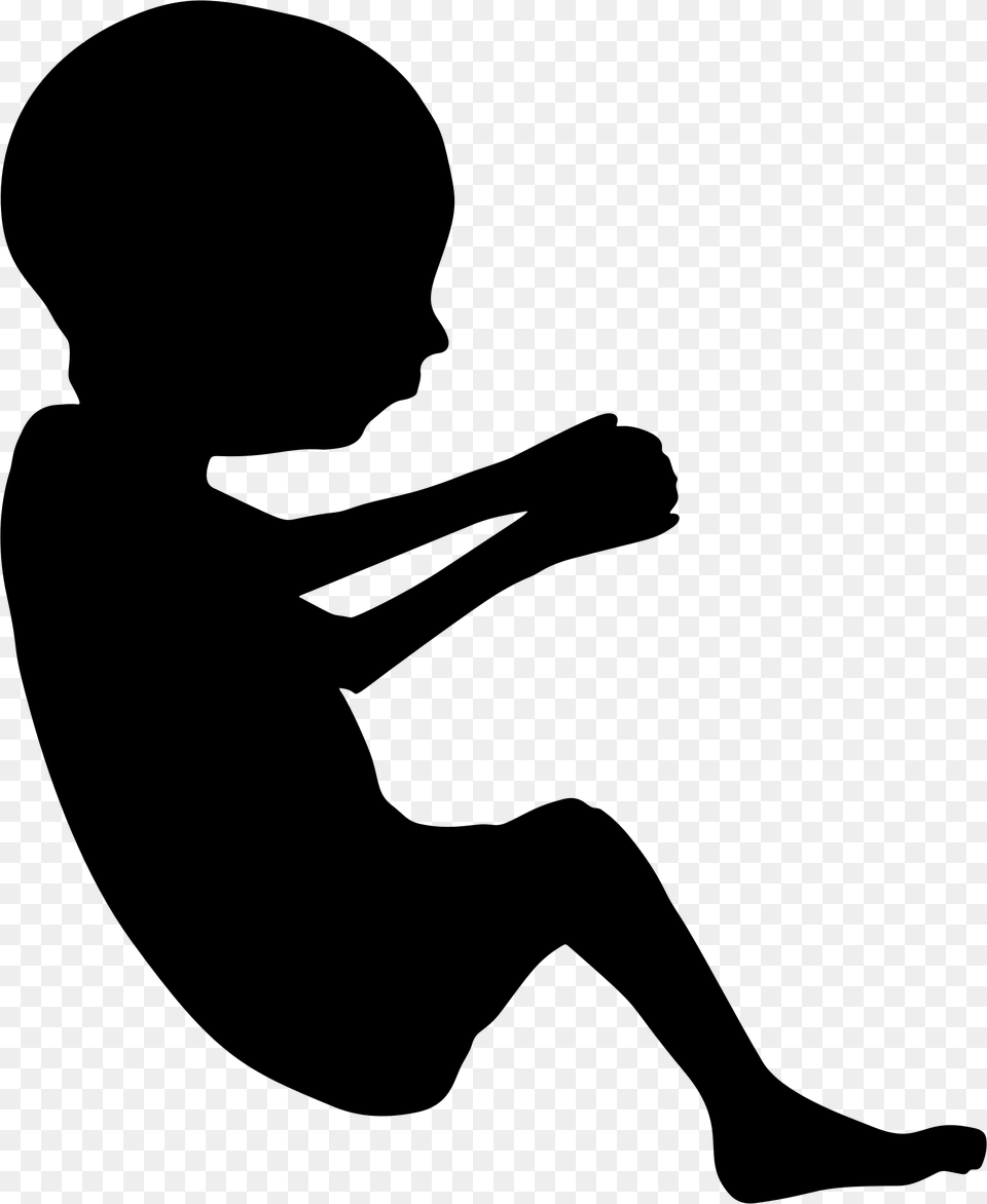 Fetus Silhouette Minus Cord Icons, Gray Png