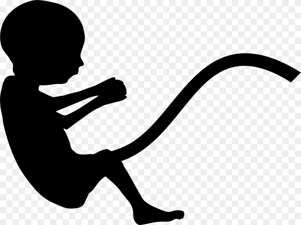 Fetus Silhouette Pregnancy Infant Uterus, Gray Png