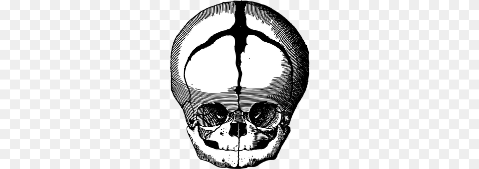 Fetus Skull Chandelier, Lamp, Ct Scan Png