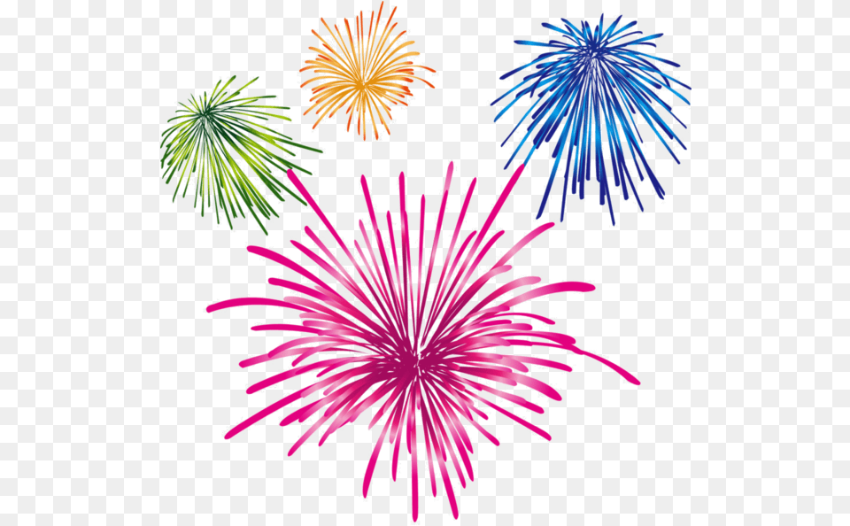 Feu D Artifice Feu D Artifice, Fireworks, Plant, Flower Png