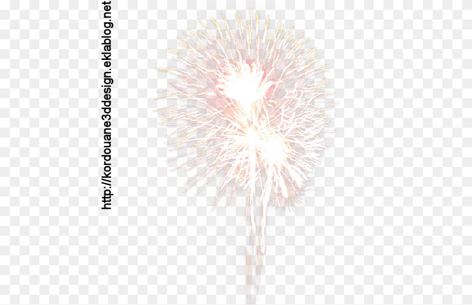 Feu D39artifice Fireworks, Plant Free Png