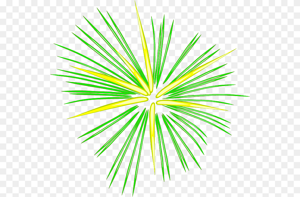 Feu D39artifice Vert Firework Clipart No Background, Plant, Tree, Fireworks Free Png