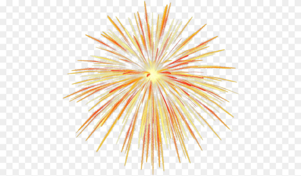 Feu Sparkler Clip Art, Fireworks, Plant Free Transparent Png