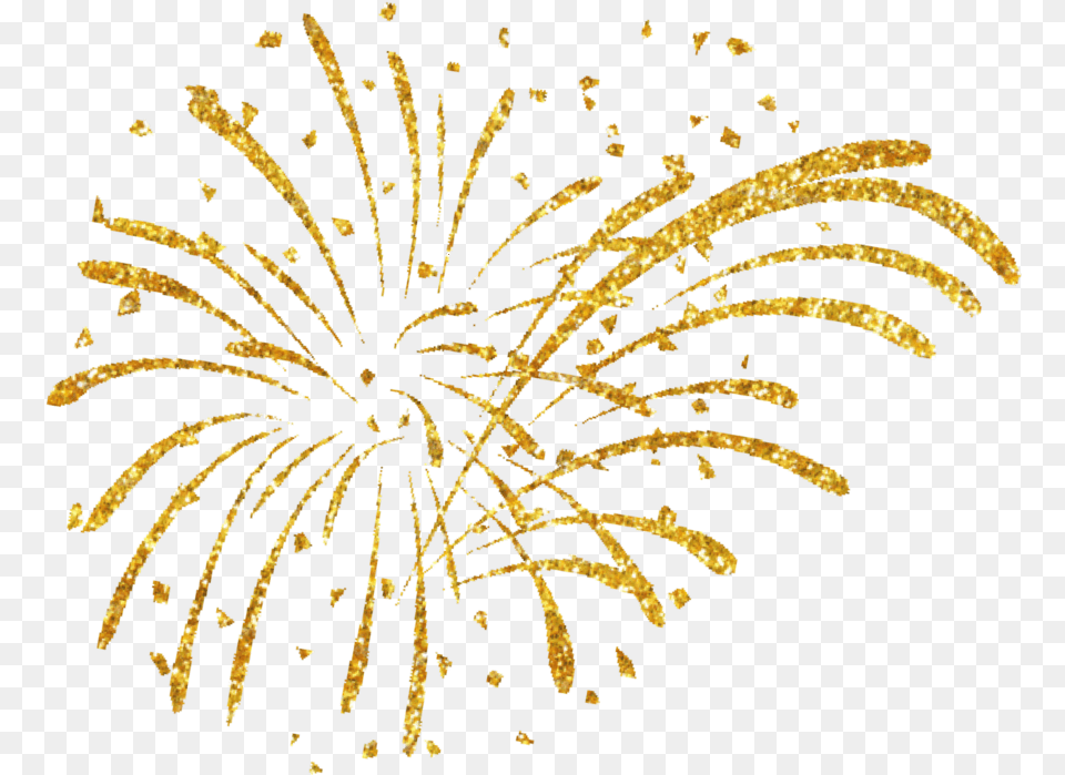 Feuerwerk Gold Freetoedit Fireworks Clipart, Plant Free Transparent Png