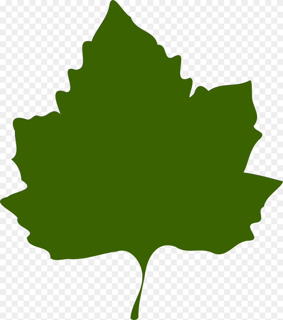 Feuille De Vigne Vectoriel, Leaf, Plant, Maple Leaf Free Png