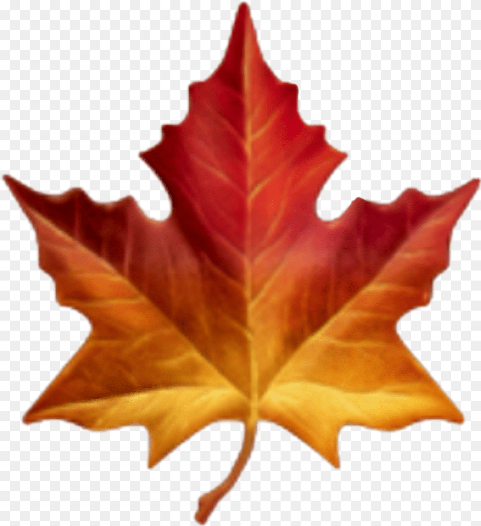 Feuille Sticker Maple Leaf Emoji, Plant, Tree, Maple Leaf Free Png
