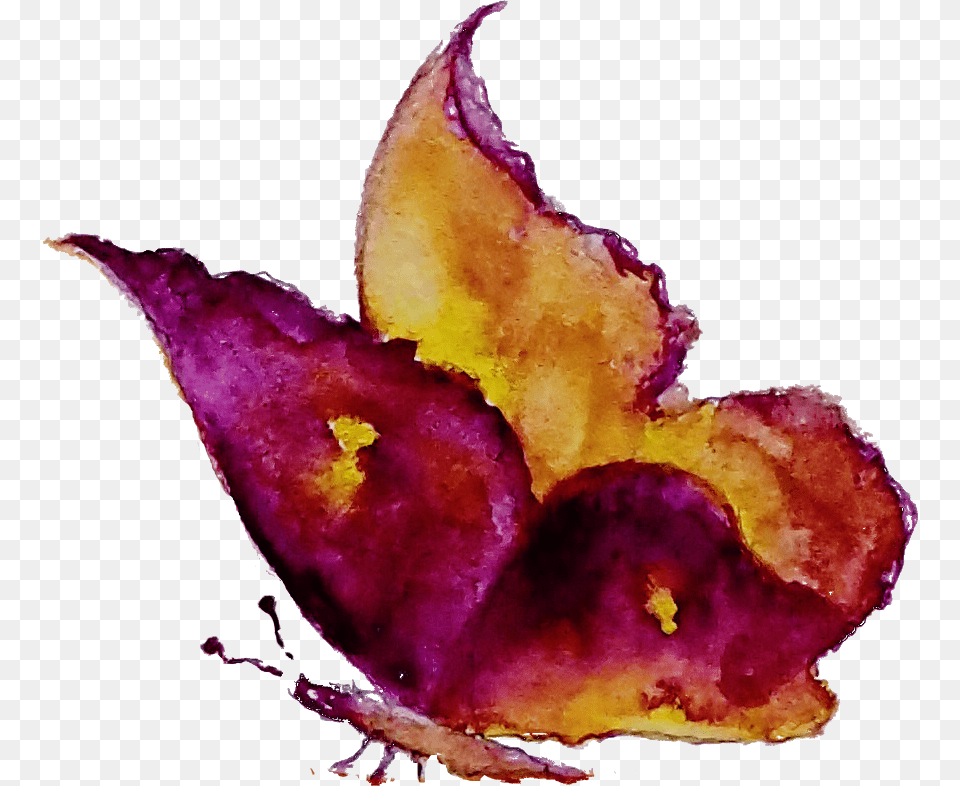 Ff, Flower, Petal, Plant, Art Free Transparent Png