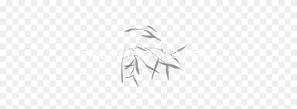 Fforest Intro 02 Sketch, Nature, Outdoors, Night, Grass Png