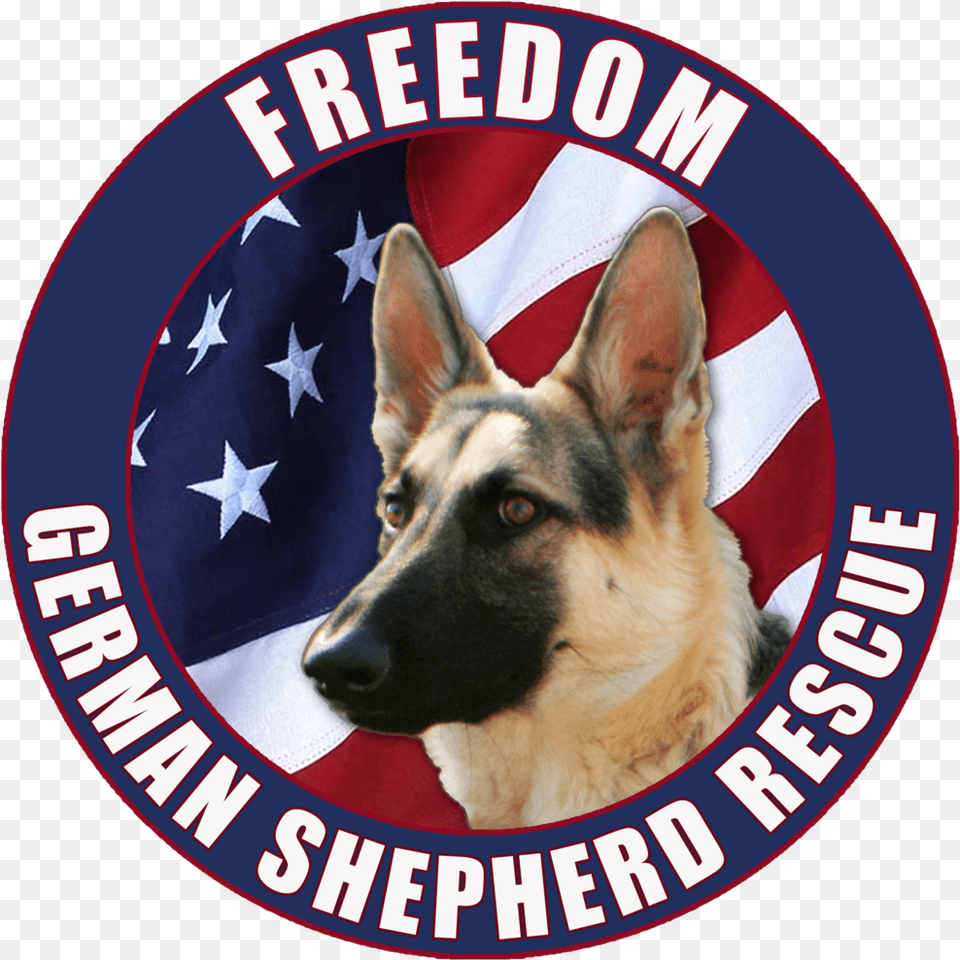 Fgsrlogo St George Fire Department, Animal, Canine, Dog, Mammal Free Transparent Png