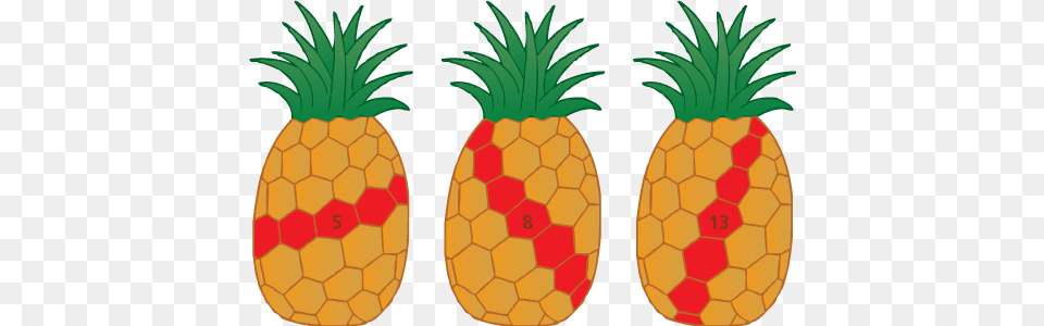 Fibonacci Sequence Examples Clip Art Cliparts, Plant, Food, Fruit, Pineapple Free Transparent Png