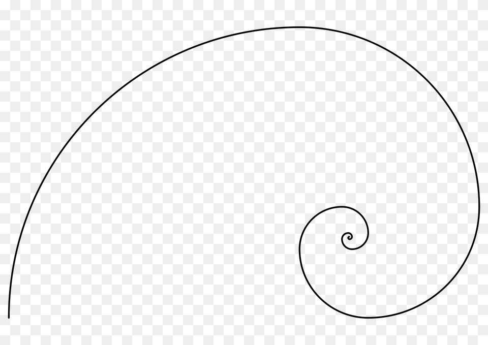 Fibonacci Spiral Clipart, Animal, Lizard, Reptile, Bow Free Png