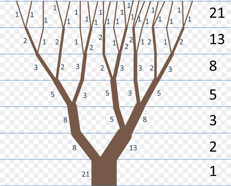 Fibonacci Tree Examples Of Fibonacci Sequence, Text, Blackboard Free Png