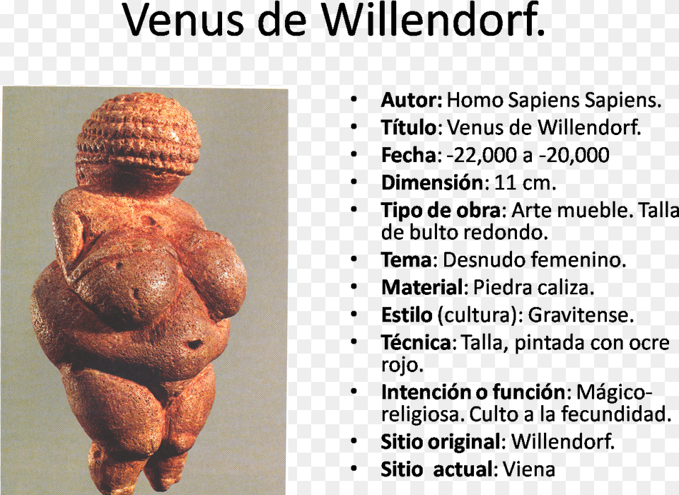 Fichadelavenusdewillendorfpng Venus, Archaeology, Figurine, Toy, Head Png