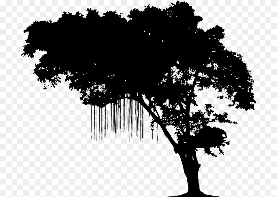 Fictionality Image Hashtag Narrative Book Silhouette Reading In Tree, Gray Free Transparent Png