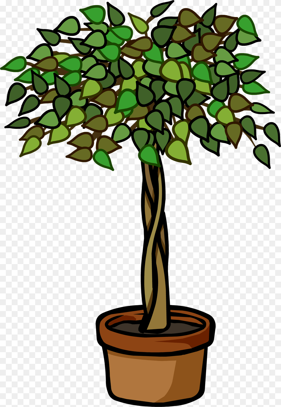 Ficus Plant Club Penguin Ficus, Potted Plant, Tree, Leaf Free Png Download
