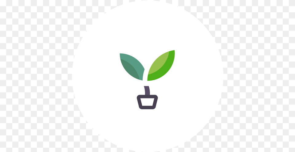 Fiddle Language, Herbal, Herbs, Leaf, Plant Png