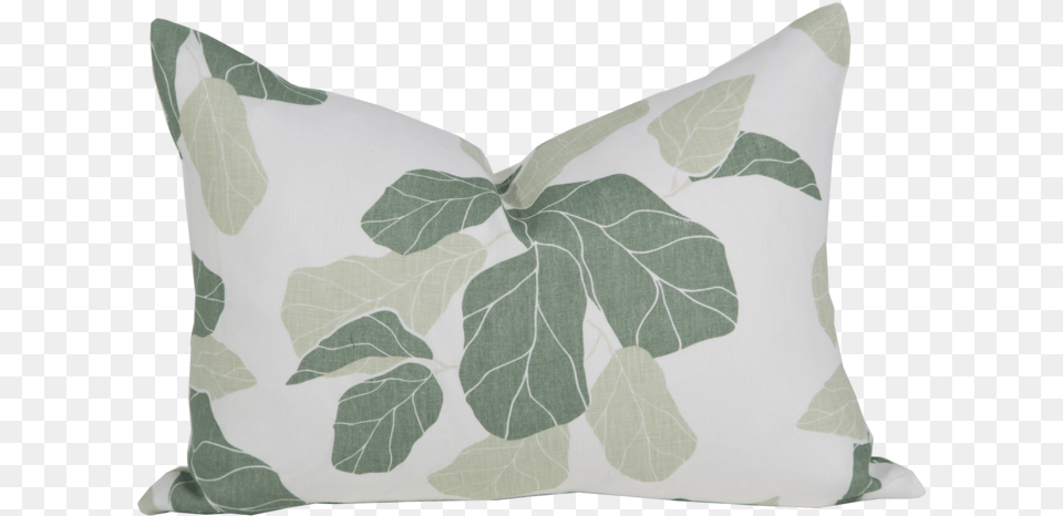 Fiddle Leaf Fig Download, Cushion, Home Decor, Pillow, Person Free Png