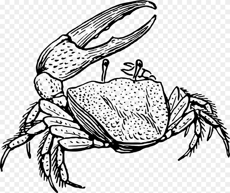 Fiddler Crab Black And White Clipart, Food, Seafood, Animal, Invertebrate Free Png Download