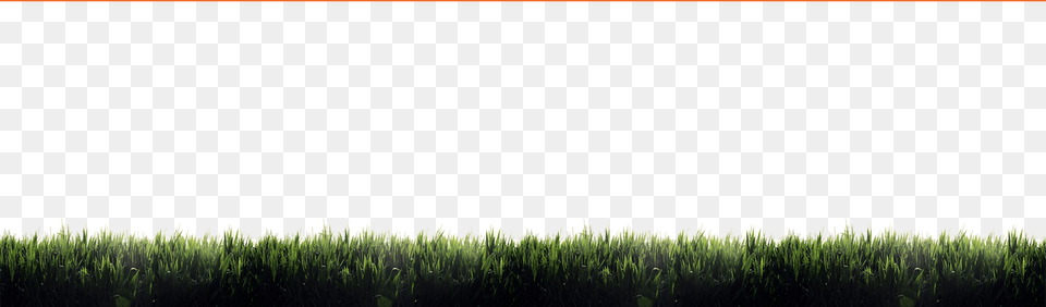 Field, Grass, Green, Plant, Vegetation Free Png