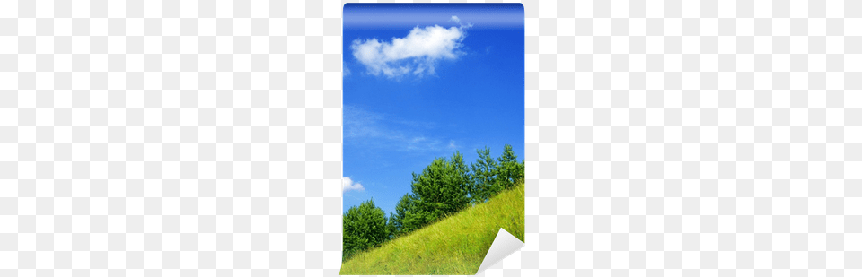 Field, Azure Sky, Slope, Sky, Scenery Png
