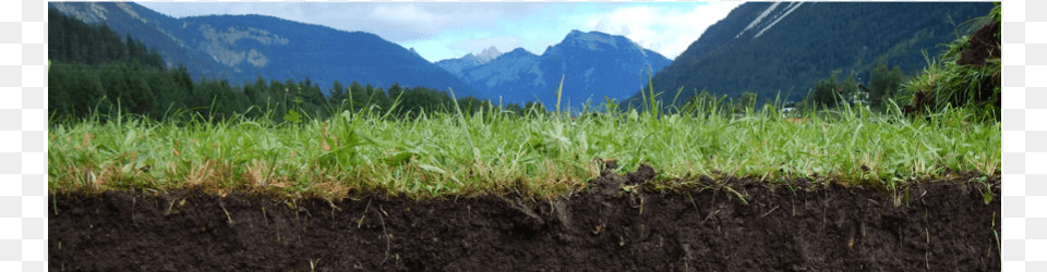 Field, Soil, Scenery, Plant, Vegetation Free Png Download