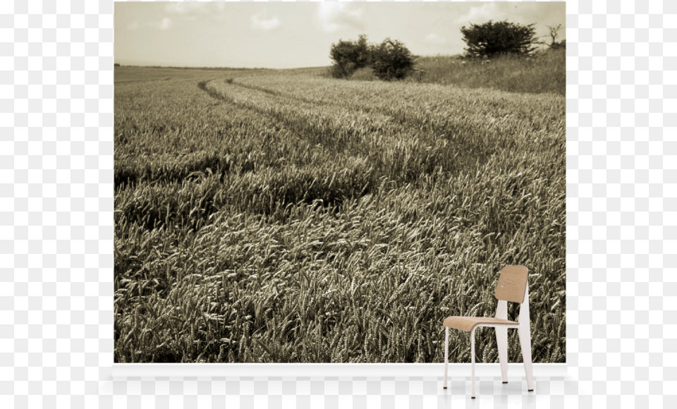 Field, Chair, Outdoors, Nature, Grassland Free Png Download
