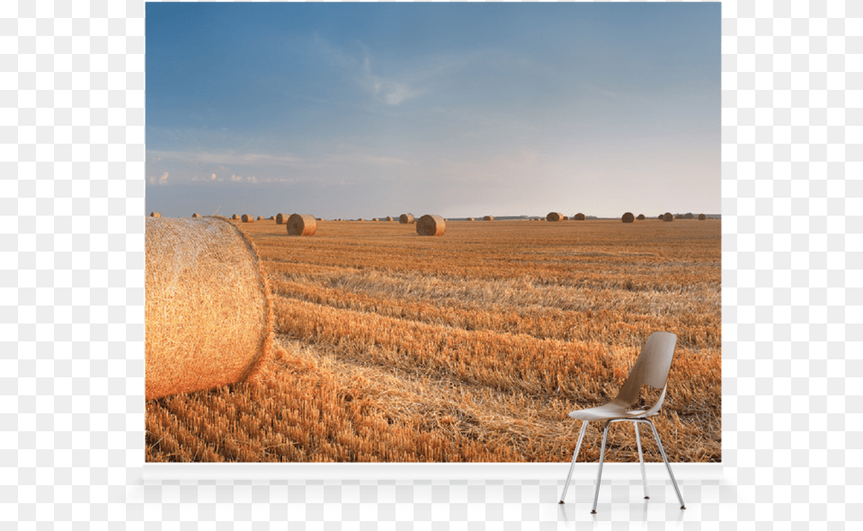 Field, Nature, Scenery, Chair, Outdoors Free Transparent Png