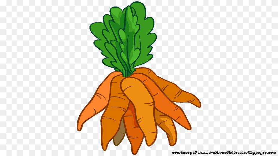 Field Clipart Carrot, Food, Plant, Produce, Vegetable Free Png