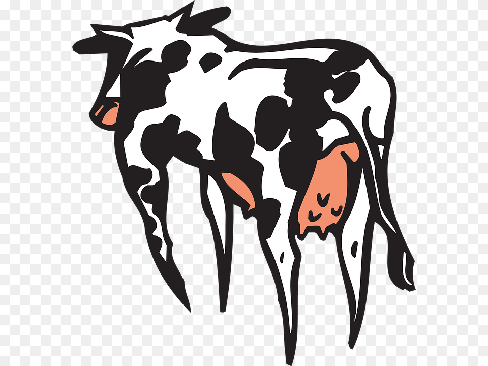 Field Clipart Dairy Farm, Mammal, Animal, Cattle, Cow Png Image